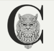 The Color Tekstil logo