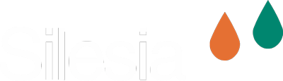 شعار Silesia Flavours