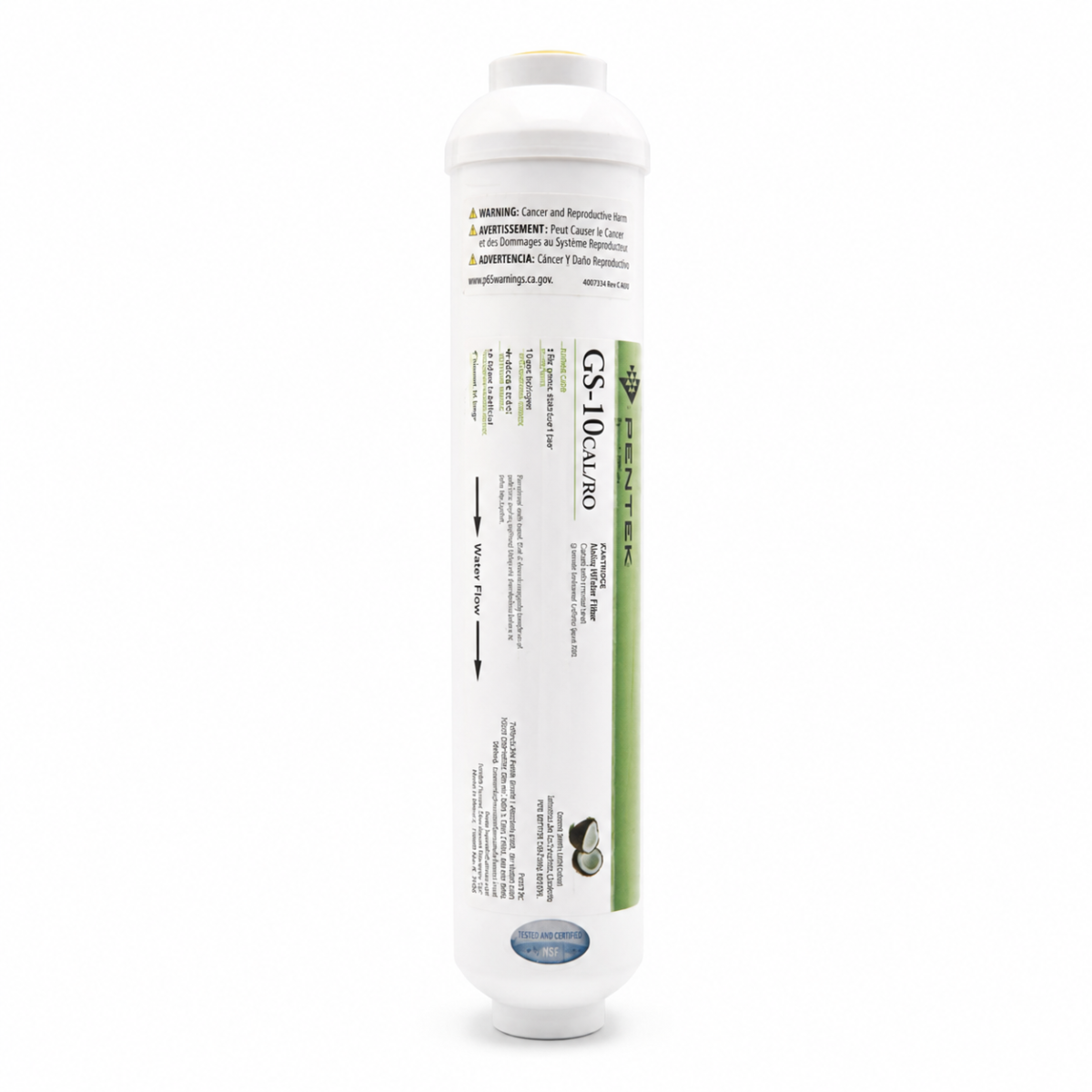 Pentek GS10-CAL/RO Alkalin Filtre 2 Water Point Pentek GS10-CAL/RO alkalin su filtresi